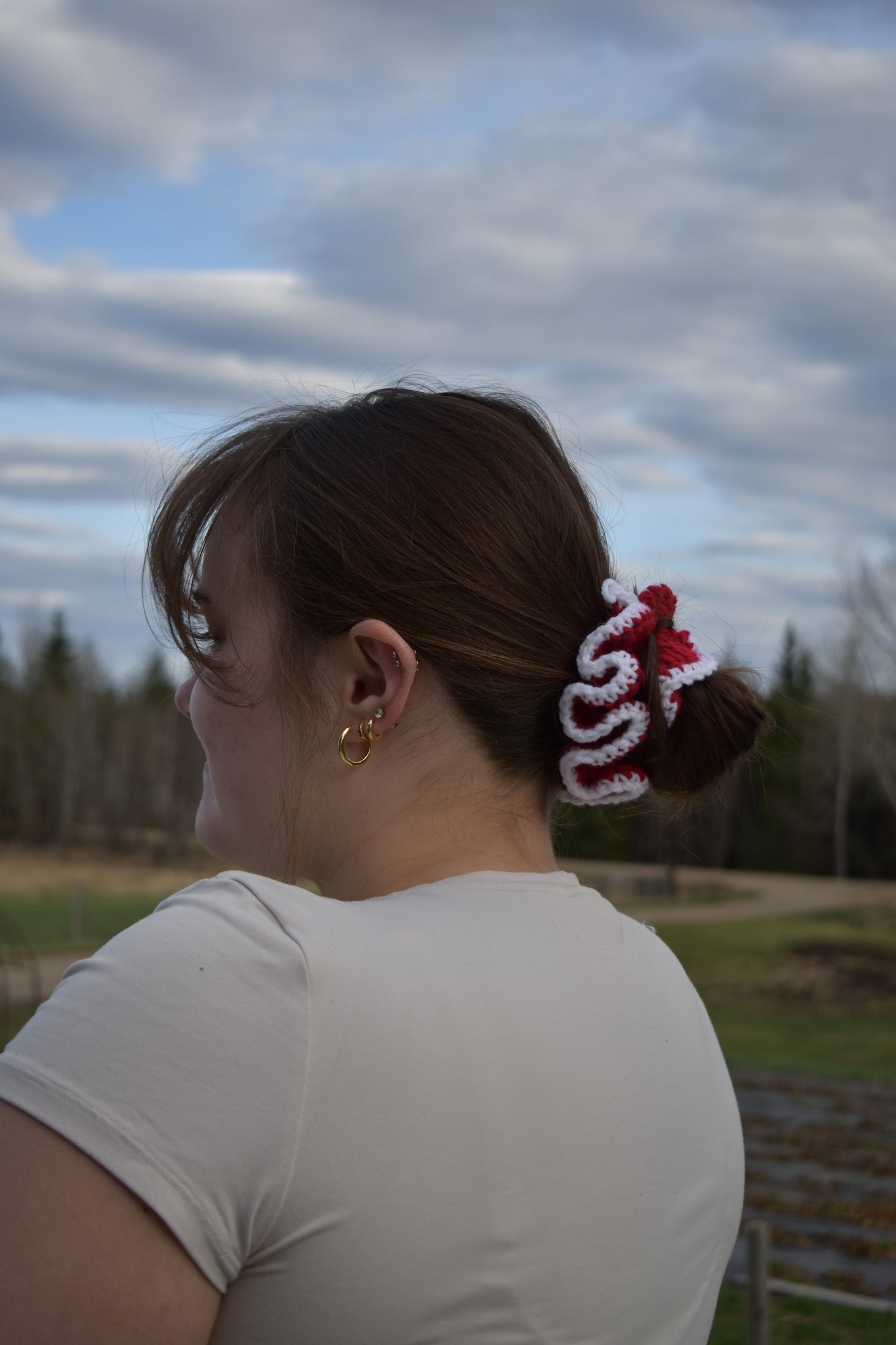 Crochet scrunchies